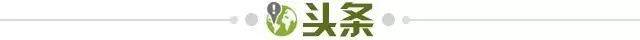 1745418374381085404.jpg 头条.jpg